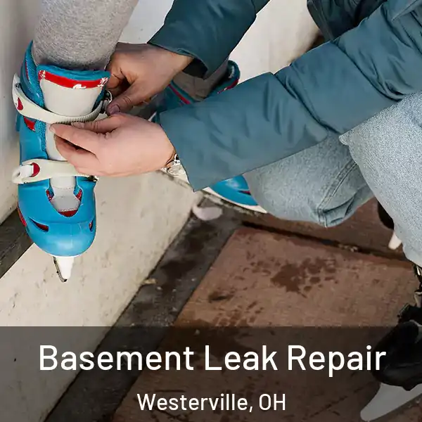  Basement Leak Repair Westerville, OH