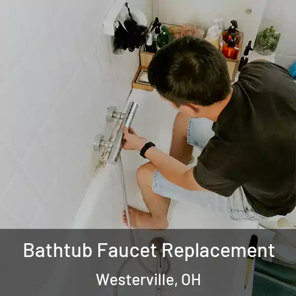  Bathtub Faucet Replacement Westerville, OH