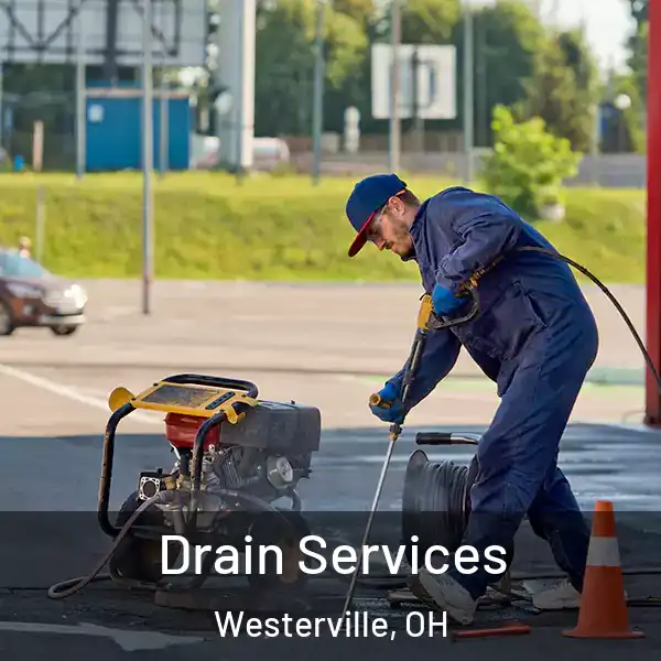 Drain Services Westerville, OH