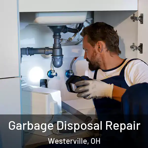  Garbage Disposal Repair Westerville, OH