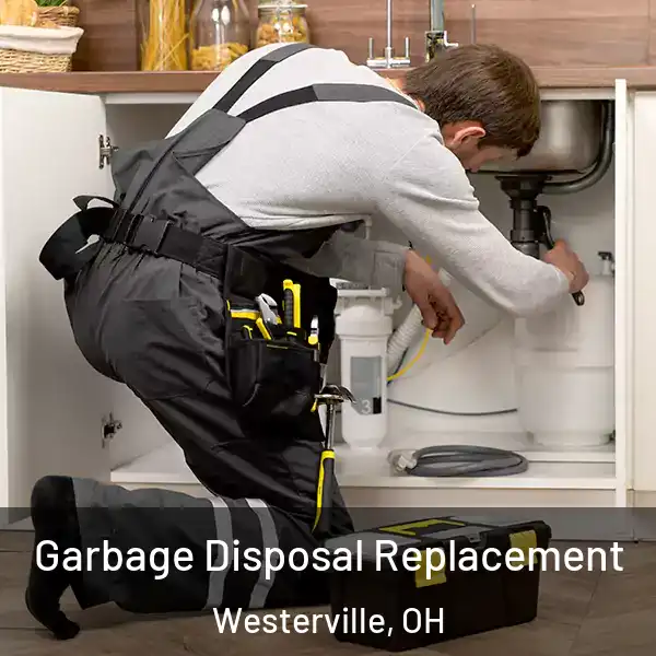  Garbage Disposal Replacement Westerville, OH