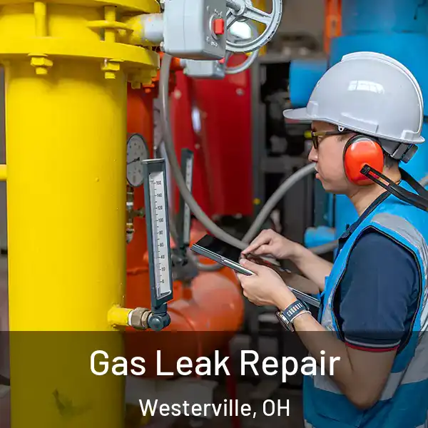  Gas Leak Repair Westerville, OH