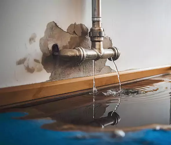 Professional Water Damage Restoration Experts in Westerville, OH — Fast, Reliable & Certified