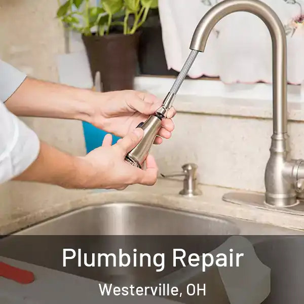  Plumbing Repair Westerville, OH