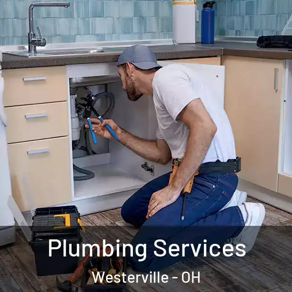  Plumbing Services Westerville - OH