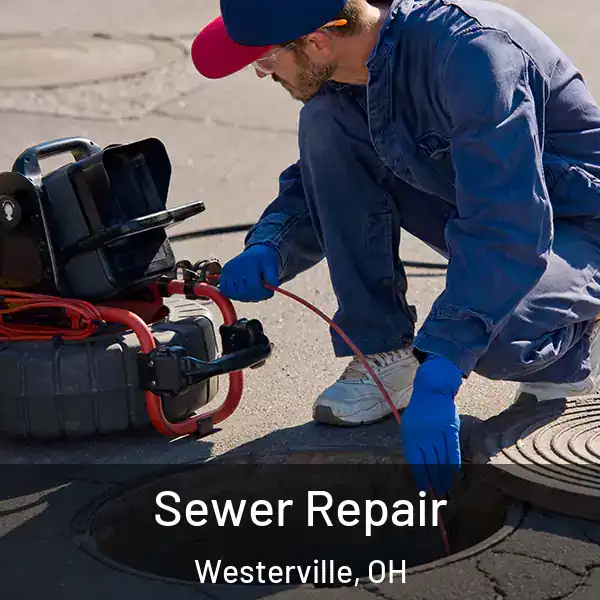  Sewer Repair Westerville, OH