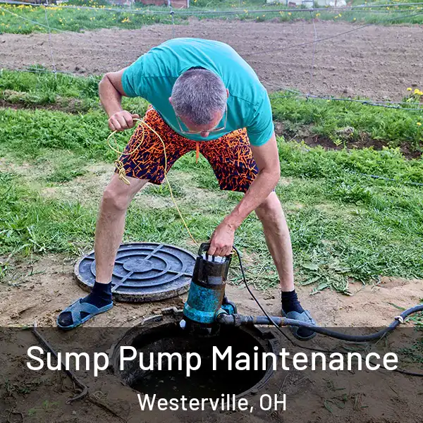  Sump Pump Maintenance Westerville, OH