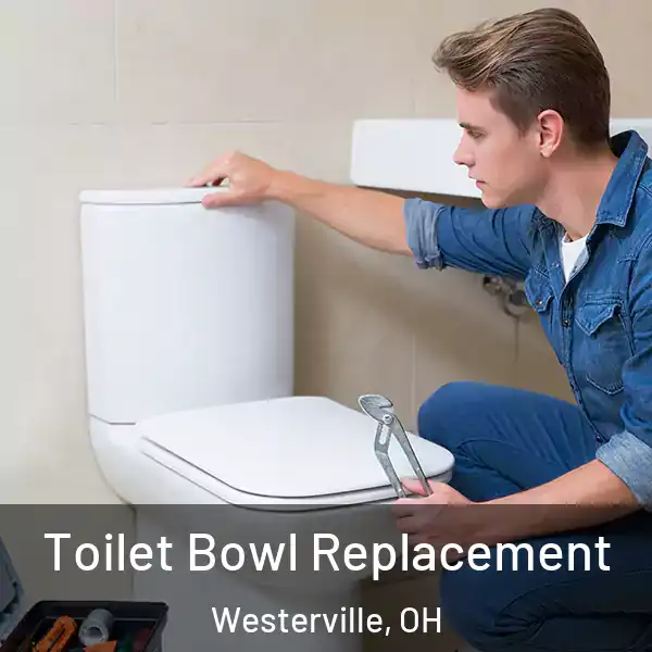  Toilet Bowl Replacement Westerville, OH