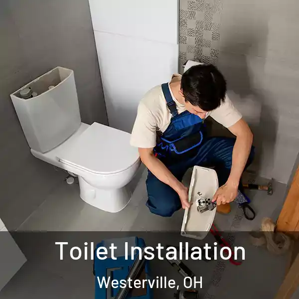 Toilet Installation Westerville, OH