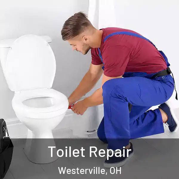  Toilet Repair Westerville, OH