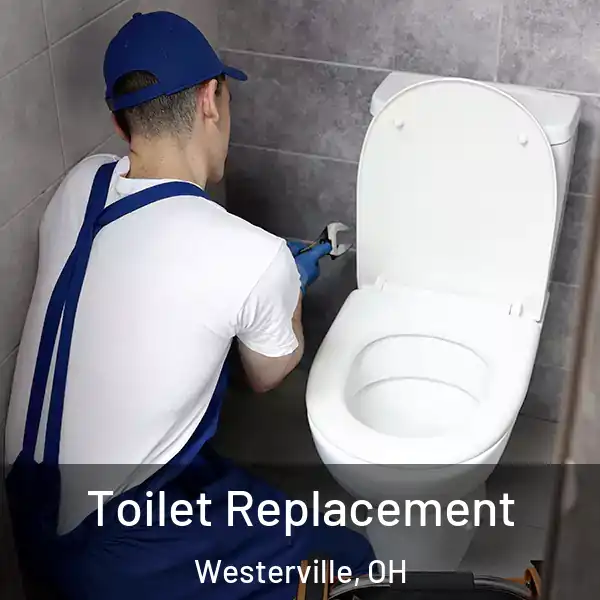  Toilet Replacement Westerville, OH