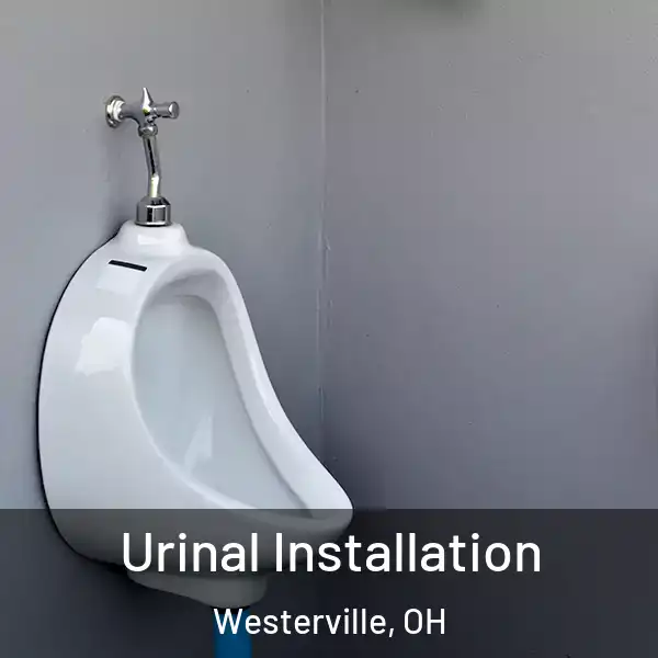  Urinal Installation Westerville, OH