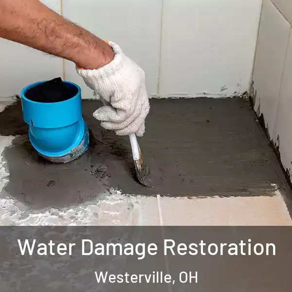  Water Damage Restoration Westerville, OH