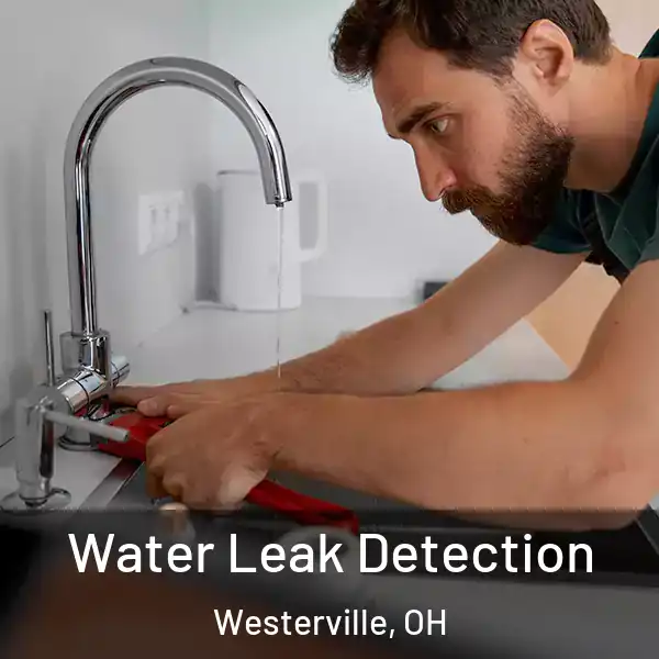  Water Leak Detection Westerville, OH