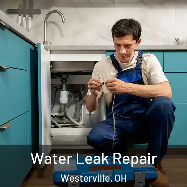  Water Leak Repair Westerville, OH